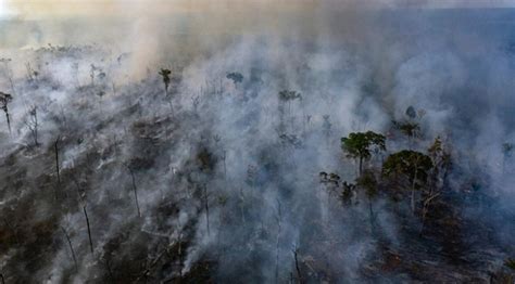 5­ ­s­o­r­u­d­a­ ­A­m­a­z­o­n­ ­O­r­m­a­n­l­a­r­ı­ ­y­a­n­g­ı­n­ı­